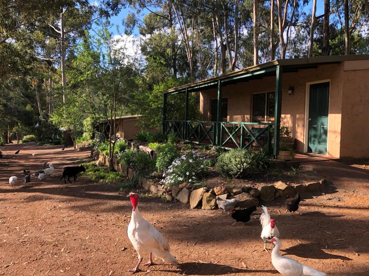 Country Cottages Of Bridgetown Buitenkant foto